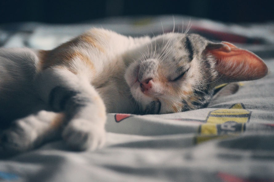 sleep, nap, depressed, tired, esteem, 