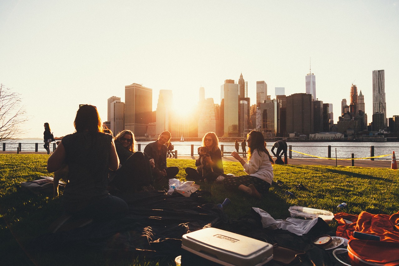 picnic, social, energy, fun