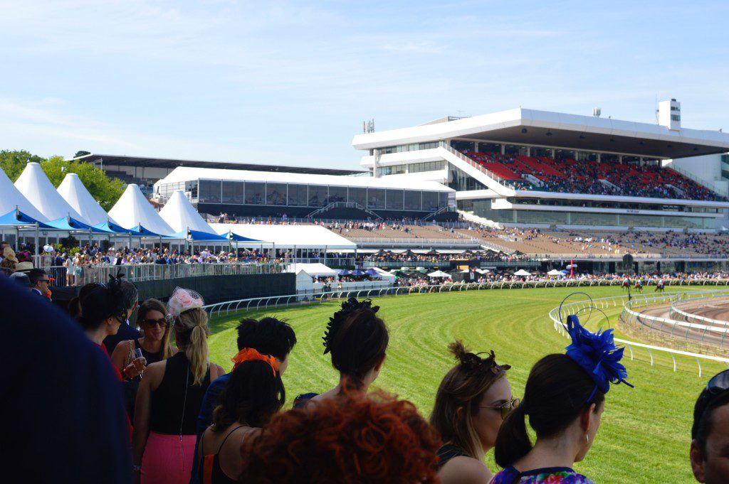 melbourne, cup, horse, racing, gambling, addiction